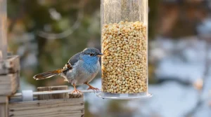 En février, vos graines font fuir les mésanges : l’erreur courante que les Britanniques ont déjà corrigée au jardin