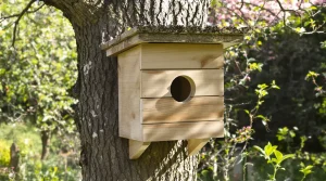 J&rsquo;ai installé un nichoir au jardin, mais aucun oiseau ne vient : voici pourquoi