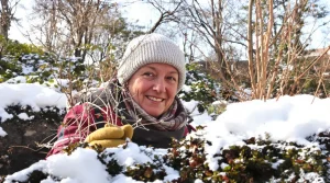 Jardin : plantez dès février ces 3 arbustes méconnus, votre terrain devient un refuge à oiseaux confirmé par la LPO