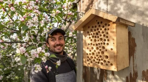 Ce petit refuge en bois installé en mars a doublé mes récoltes de fruits, et presque personne n’y pense