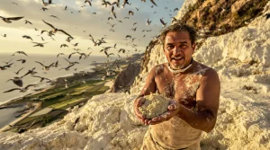 Des fientes d’oiseaux marins ont enrichi l’empire inca : la vérité sur cette richesse méconnue