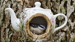 Ne le jetez pas : cet ustensile de cuisine devient un nichoir parfait dès le printemps