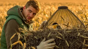 « Si on ne les avait pas protégés, aucun jeune à l’envol » : comment la Ligue de protection des oiseaux veille sur la biodiversité en Indre-et-Loire