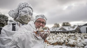 Un foyer de grippe aviaire détecté dans un élevage de canards en Bretagne, l’alerte est donnée