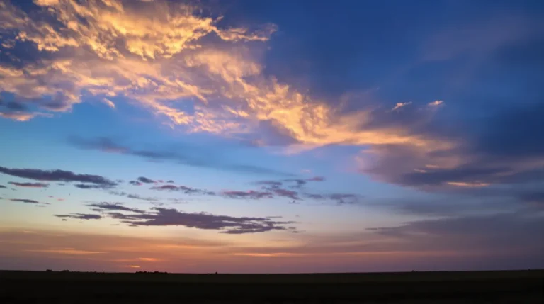 Une étude révèle qu’il y a de moins en moins d’oiseaux dans le ciel nord-américain